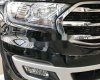 Ford Everest   2019 - Cần bán Ford Everest năm 2019, màu đen, xe nhập