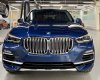 BMW X5 2019 - Bán xe BMW X5 2019, màu xanh lam, nhập khẩu nguyên chiếc mới 100%, giá tốt, hỗ trợ trả góp 85%