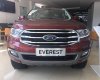 Ford Everest 2019 - Ford Everest 2019 giảm giá cực sốc, ưu đãi tặng phụ kiên cực khủng