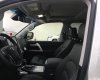 Toyota Land Cruiser 570 2019 - Giao ngay Toyota Landcruiser 5.7V8 xuất Mỹ, màu bạc mới 100%