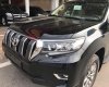 Toyota Prado 2019 - Prado VX 2019 nhập Nhật mới 100% giao xe ngay