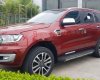 Ford Everest   2019 - Bán Ford Everest năm sản xuất 2019, màu đỏ, nhập khẩu
