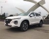 Hyundai Santa Fe 2019 - Cần bán Hyundai Santa Fe năm sản xuất 2019, hỗ trợ tốt