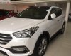 Hyundai Santa Fe 2017 - Cần bán Hyundai Santa Fe 2.2AT đời 2017, màu trắng, số tự động