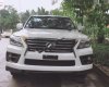 Lexus LX 2013 - Bán Lexus LX năm sản xuất 2013, màu trắng, xe nhập chính hãng