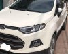 Ford EcoSport 2016 - Cần bán gấp Ford EcoSport năm sản xuất 2016, màu trắng, nhập khẩu chính hãng