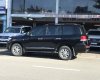 Toyota Land Cruiser 2010 - Bán xe Toyota Land Cruiser 2010, màu đen, nhập khẩu