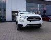 Ford EcoSport 2019 - Bán xe Ford EcoSport Titanium 1.5L AT đời 2019, màu trắng