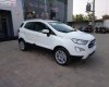 Ford EcoSport 2019 - Bán xe Ford EcoSport Titanium 1.5L AT đời 2019, màu trắng