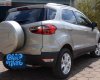 Ford EcoSport Titanium 1.5L AT 2016 - Bán Ford EcoSport Titatinum năm sản xuất 2016, màu bạc, nhập khẩu 