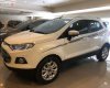 Ford EcoSport 2017 - Cần bán lại xe Ford EcoSport Titanium 1.5L AT 2017, màu trắng xe còn mới lắm