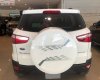 Ford EcoSport 2017 - Cần bán lại xe Ford EcoSport Titanium 1.5L AT 2017, màu trắng xe còn mới lắm