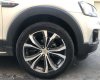 Chevrolet Captiva 2017 - Bán ô tô Chevrolet Captiva LTZ đời 2017, màu trắng, 625tr