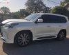 Lexus LX   2019 - Cần bán gấp Lexus LX đời 2019, màu trắng, nhập khẩu nguyên chiếc chính hãng