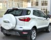 Ford EcoSport 2019 - Cần bán Ford EcoSport năm sản xuất 2019, màu trắng xe còn mới nguyên