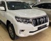 Toyota Prado VX 2019 - Bán Toyota Prado VX năm 2019, màu trắng, xe nhập như mới