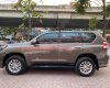 Toyota Prado TXL   2016 - Bán Toyota Prado TXL đời 2016, màu nâu, nhập khẩu nguyên chiếc
