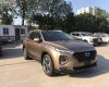 Hyundai Santa Fe 2019 - Bán xe Hyundai Santa Fe đời 2019, màu nâu số tự động