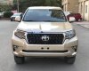 Toyota Prado   2013 - Bán xe Toyota Prado 2013, màu vàng, xe nhập chính hãng