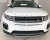 LandRover   2019 - Bán xe Landrover Range Rover sản xuất năm 2019, màu đỏ, nhập khẩu chính hãng