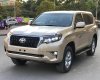 Toyota Prado   2013 - Bán xe Toyota Prado 2013, màu vàng, xe nhập chính hãng