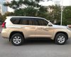 Toyota Prado   2013 - Bán xe Toyota Prado 2013, màu vàng, xe nhập chính hãng