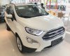 Ford EcoSport Titanium 2019 - Bán nhanh chiếc Ford EcoSport Titanium năm 2019, màu trắng, 5 chỗ, số tự động