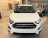 Ford EcoSport 1.5 AT Trend 2019 - Bán nhanh chiếc Ford EcoSport 1.5 AT Trend năm 2019, màu trắng