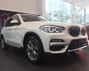 BMW X3 xDrive20i 2019 - Xe sẵn - Giao ngay - Toàn quốc, Chiếc BMW X3 xDrive20i đời 2019, màu trắng