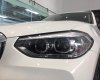 BMW X3 xDrive20i 2019 - Xe sẵn - Giao ngay - Toàn quốc, Chiếc BMW X3 xDrive20i đời 2019, màu trắng