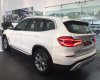 BMW X3 xDrive20i 2019 - Xe sẵn - Giao ngay - Toàn quốc, Chiếc BMW X3 xDrive20i đời 2019, màu trắng