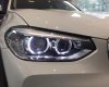 BMW X3 xDrive20i 2019 - Xe sẵn - Giao ngay - Toàn quốc, Chiếc BMW X3 xDrive20i đời 2019, màu trắng