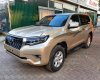 Toyota Prado   2013 - Cần bán Toyota Prado năm sản xuất 2013, màu vàng, xe nhập chính hãng