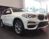 BMW X3 2019 - Ưu đãi giải tiền mặt lên đến 105 triệu đồng khi mua xe BMW X3 xDrive20i 2019 - Có sẵn xe - Giao nhanh toàn quốc