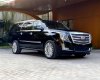 Cadillac Escalade ESV Platinium 2016 - Bán Cadillac Escalade ESV Platinium sản xuất năm 2016, màu đen, nhập khẩu 