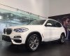 BMW X3 2019 - Ưu đãi giải tiền mặt lên đến 105 triệu đồng khi mua xe BMW X3 xDrive20i 2019 - Có sẵn xe - Giao nhanh toàn quốc