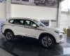 Hyundai Santa Fe 2019 - Ưu đãi giảm gái cuối năm chiếc xe Hyundai Santa Fe 2.2 máy dầu premium đời 2019, màu trắng, nhập khẩu nguyên chiếc