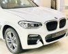 BMW X3 2019 - Ưu đãi đến 75 triệu đồng khi mua chiếc BMW X3 xDrive20i, đời 2019, màu trắng, nhập khẩu