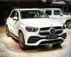 Mercedes-Benz GLE-Class GLE 450 AMG  2019 - Ưu đãi cuối năm chiếc xe hạng sang Mercedes Benz GLE 450 AMG, sản xuất 2019, màu trắng, xe nhập