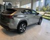 Lexus NX 2019 - Bán giảm giá cuối năm chiếc xe Lexus NX300, sản xuất 2019, màu bạc, nhập khẩu nguyên chiếc