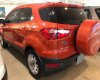Ford EcoSport 2017 - Bán Ford EcoSport sản xuất 2017 giá cạnh tranh