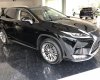 Lexus RX 450H 2019 - Lexus Thăng Long - Cần bán Lexus RX 450H năm sản xuất 2019, màu đen