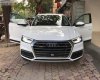 Audi Quattro 2018 - Bán Audi Quattro 2018, màu trắng, xe nhập