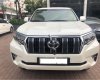 Toyota Prado 2019 - Cần bán gấp Toyota Prado đời 2019, màu trắng, nhập khẩu nguyên chiếc