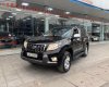 Toyota Prado 2011 - Bán Toyota Prado TXL 2.7L năm 2011, màu đen, xe nhập