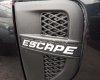 Ford Escape XLT 2.3L 4x4 AT 2008 - Bán Ford Escape XLT 2.3L 4x4 AT năm sản xuất 2008, màu đen số tự động