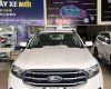 Ford Everest   2018 - Bán xe Ford Everest năm 2018, nhập khẩu nguyên chiếc