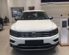 Volkswagen Tiguan   2018 - Hỗ trợ giao xe nhanh toàn quốc chiếc xe Volkswagen Tiguan Allspace, đời 2019, nhập khẩu nguyên chiếc