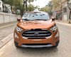 Ford EcoSport 2019 - Bán Ford EcoSport sản xuất năm 2019, màu nâu vàng