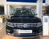 Volkswagen Tiguan Luxury 2019 - Volkswagen Tiguan Luxury - Tiêu chuẩn an toàn 5 sao, sản xuất 2019, màu đen